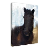 Dark Horse 24" x 36" Canvas Wall Art