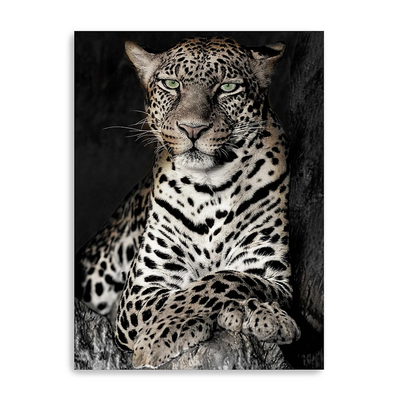 African Leopard Canvas Giclee