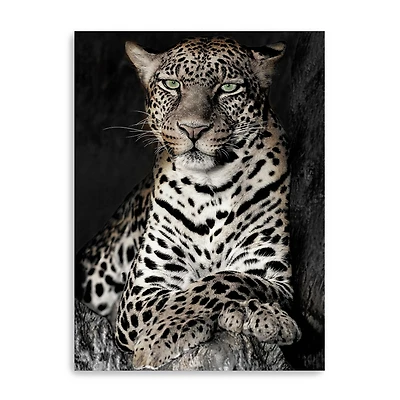 African Leopard Canvas Giclee