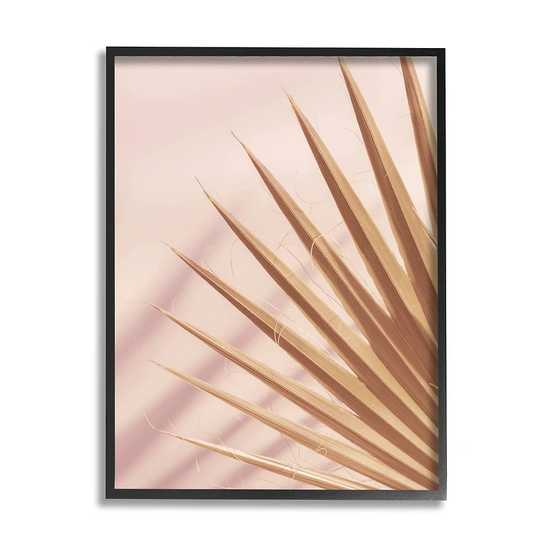 Stupell Industries Palm Frond Photograph Expressive Tropical Plant Sun Bleached Framed Wall Art