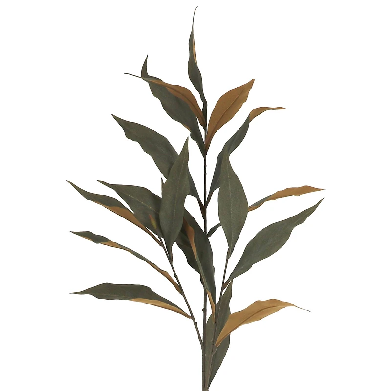 37" Green Long Leaf Eucalyptus Stem by Ashland®