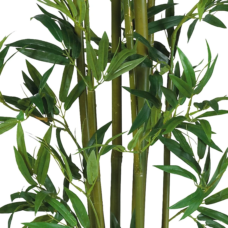 4ft. Potted Bamboo Plant