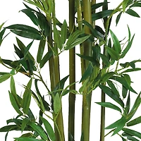 4ft. Potted Bamboo Plant