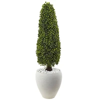 3.5ft. Boxwood Topiary in Textured White Planter