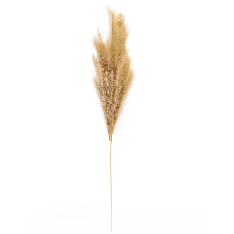 Wispy Pampas Grass Stem by Ashland®