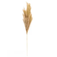 Wispy Pampas Grass Stem by Ashland®