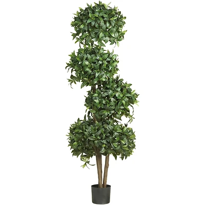 5.5ft. Potted Sweet Bay Quad Ball Topiary Tree