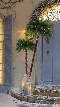 3.5ft. & 6ft. Double Trunk Pre-Lit Artificial Palm Tree, Clear Lights