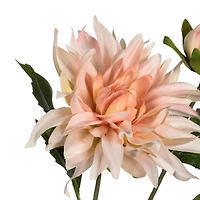 6 Pack: Peach Dahlia Spray