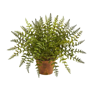12" Leatherleaf Fern in Decorative Planter