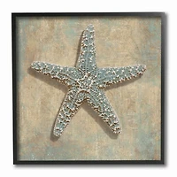 Stupell Industries Starfish Beach Objects Design Black Framed Wall Art