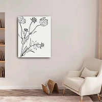 Botanical Study I Canvas Giclee