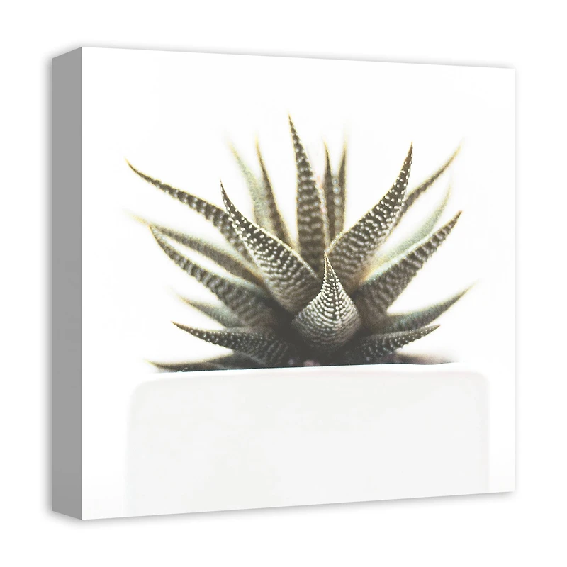 Designs Direct Aloe Plant Canvas Wall Art