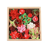 OKTO DIY Wood & Craft Passion Succulents Clay Kit
