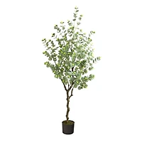 4.5ft. Potted Eucalyptus Tree