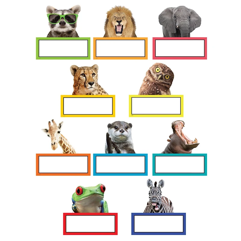 Teacher Created Resources® Go Wild Animals Accents, 3 Packs of 30
