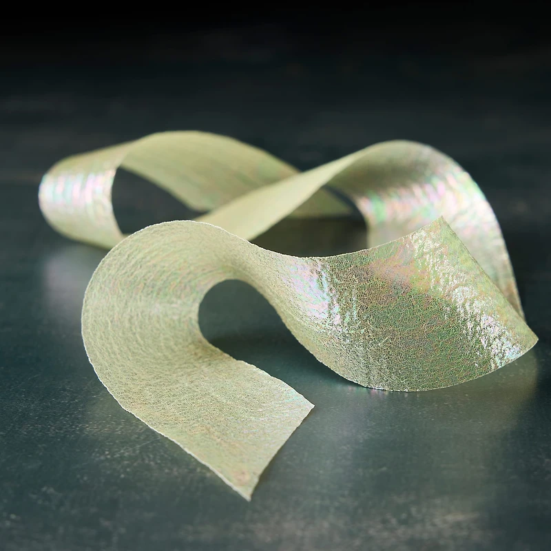 1.5" x 3yd. Iridescent Organza Ribbon by Celebrate It® Classic