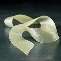 1.5" x 3yd. Iridescent Organza Ribbon by Celebrate It® Classic