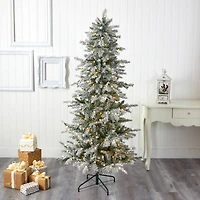 6.5ft. Pre-Lit Nova Scotia Spruce Artificial Christmas Tree, Warm White LED Lights
