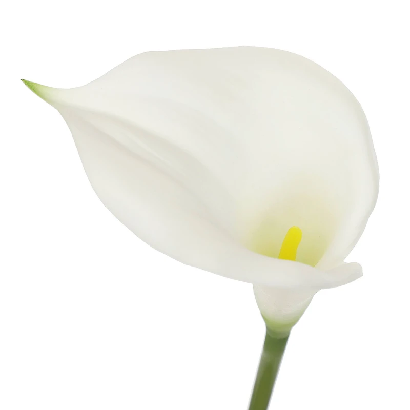 White Calla Lily Stem by Ashland®