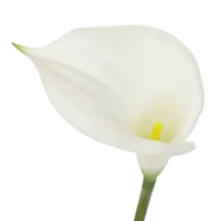White Calla Lily Stem by Ashland®
