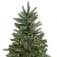 9ft. Pre-Lit Real Touch™ Granville Fraser Fir Artificial Christmas Tree, Clear Lights