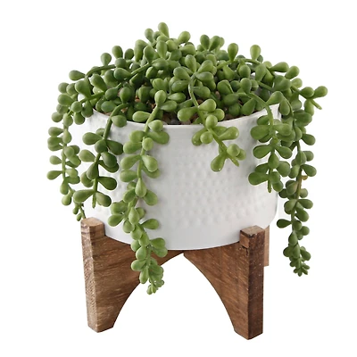 Flora Bunda® 5" String Of Pearl In Hobnail Ceramic Planter On Stand