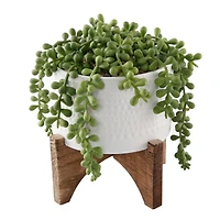 Flora Bunda® 5" String Of Pearl In Hobnail Ceramic Planter On Stand