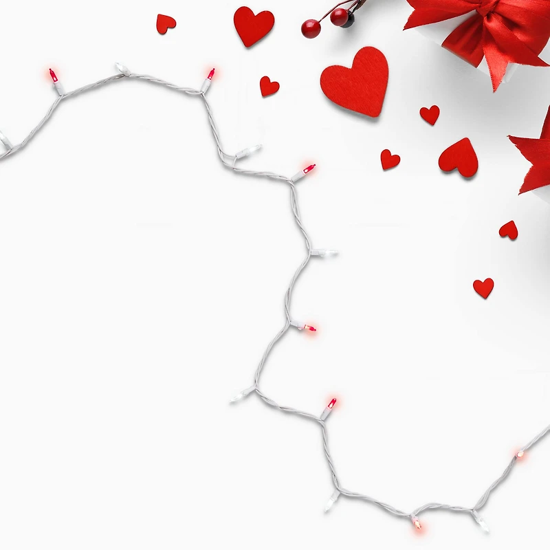 100ct. White & Red Mini String Lights