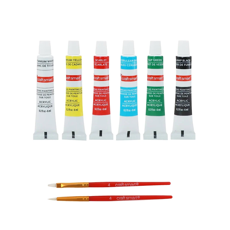 Butterflies Mini Canvas Painting Kit by Craft Smart®