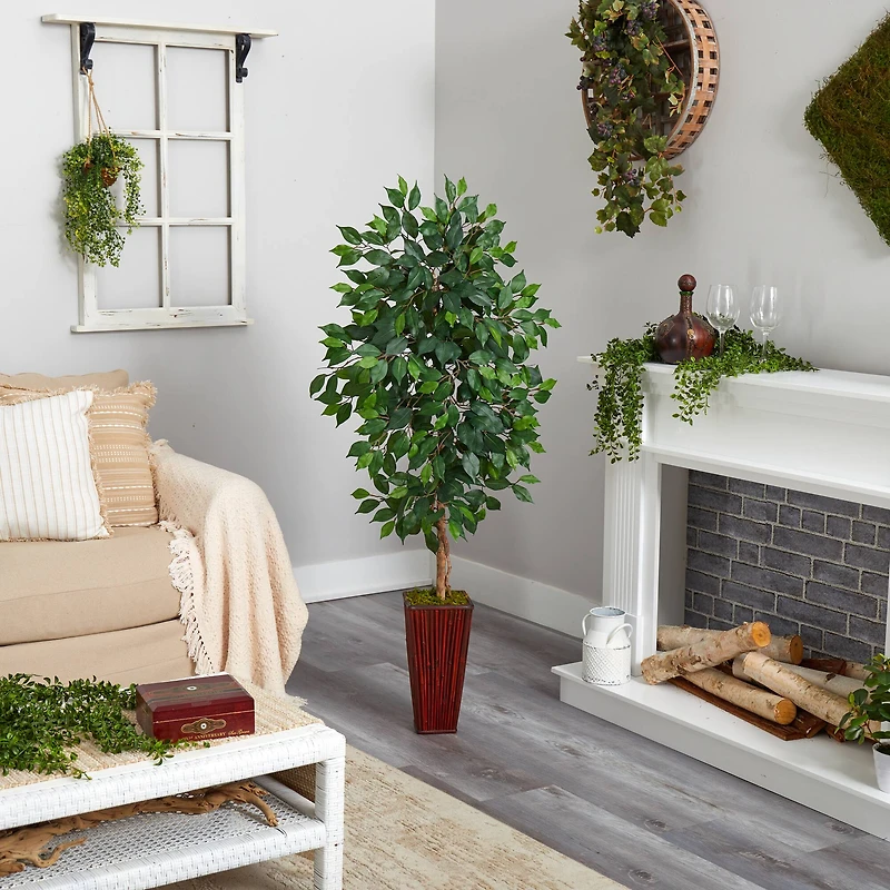 5ft. Ficus Tree in Bamboo Planter