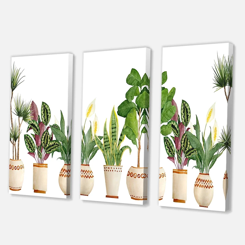 Designart - Trio of Houseplants Sanseviera Snake Plant