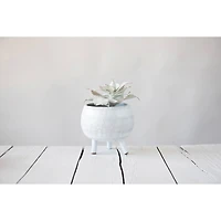 Hello Honey® 7" Footed Terra Cotta Planter