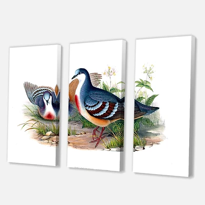Designart - Vintage Birds In The Wild IV