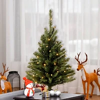 3ft. Pre-Lit Kincaid Spruce Artificial Christmas Tree, Clear Lights