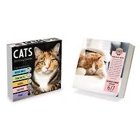 TF Publishing Cat A Day Daily Desktop Calendar