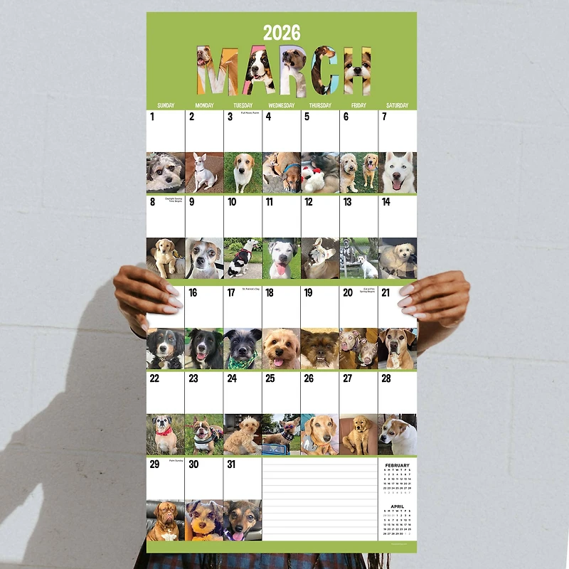 2026 Dog-A-Day Wall Calendar