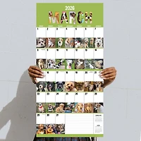 2026 Dog-A-Day Wall Calendar