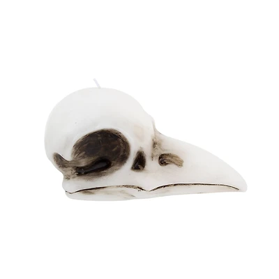 Crow Skull Shaped Candle by Ashland®