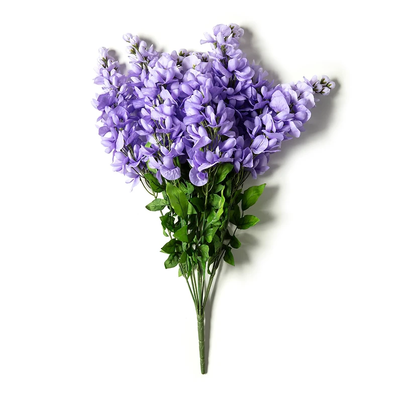 Purple Wisteria Bush by Ashland®