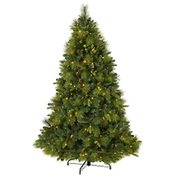 6.5ft. Pre-Lit North Carolina Mixed Pine Artificial Christmas Tree, Warm White LED Lights