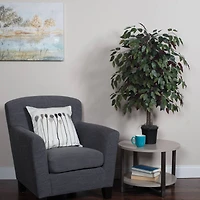 4ft. Artificial Capensia Bush with Black Plastic Pot