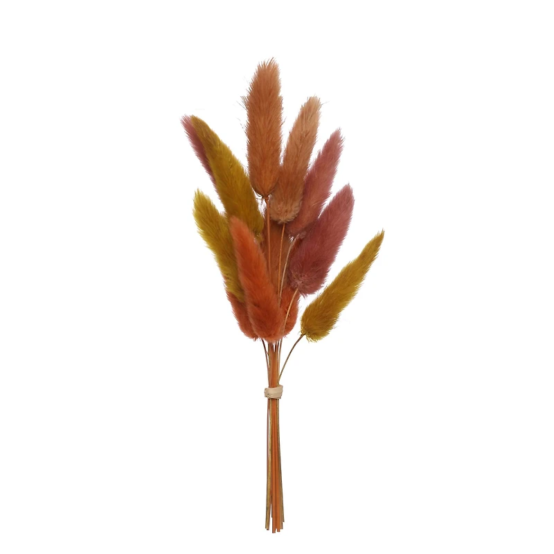 8.5" Dried Bunny Tail Grass Mini Bundle by Ashland®