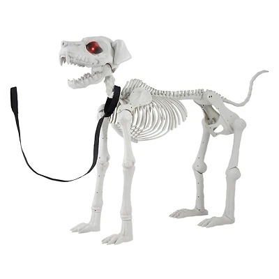 5ft. Poseable Dog Skeleton by Ashland®