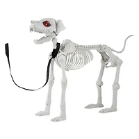 5ft. Poseable Dog Skeleton by Ashland®