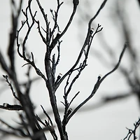 6ft. Pre-Lit LED Black Twig Artificial Halloween Tree