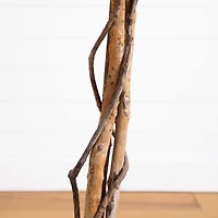 6ft. Artificial Halloween Black Ficus Tree with Natural Trunk