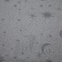 Wyla Black with Silver Moon & Stars Mesh