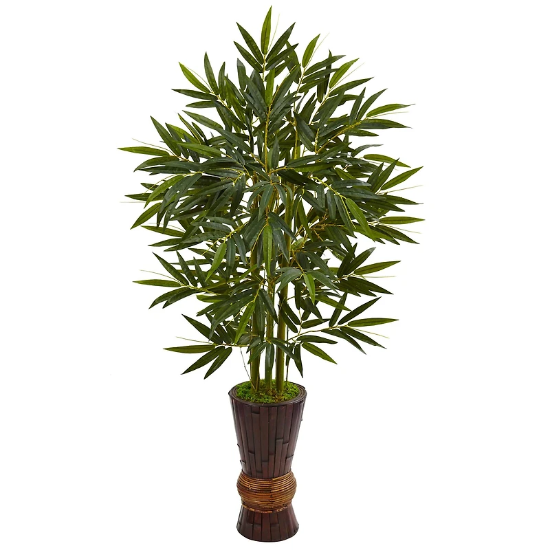 5ft. Bamboo Tree in Bamboo Planter