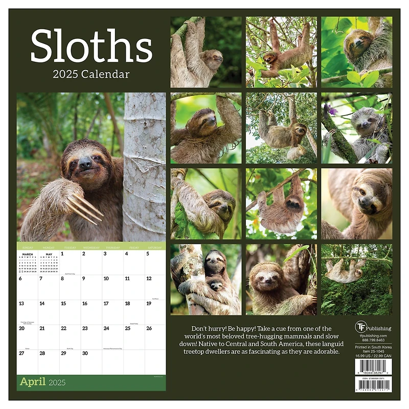 TF Publishing 2025 Sloths Wall Calendar